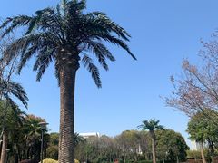-蠡湖大桥公园