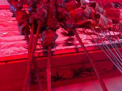 -冰城小镇音乐串吧·聚会餐厅(百子湾店)