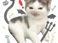 -POKIPOKI泰食谷仓东南亚菜(侨香店)