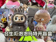 -泡泡玛特POPMART(合生汇店)