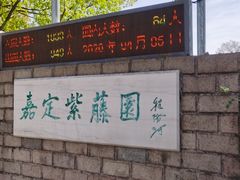 -嘉定紫藤园