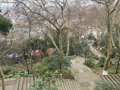 -吴山景区