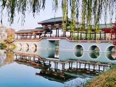 -桃花岛公园