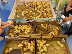 -北京华联购物中心(天通苑店)
