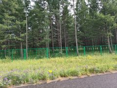 -塞罕坝国家级自然保护区