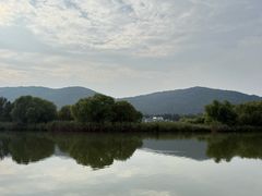 -长广溪湿地公园