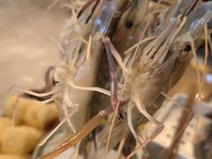 -阿杜打边炉(五江天街店)
