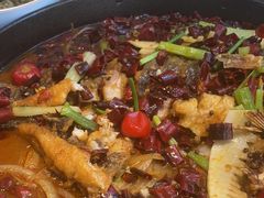 -老板恋上鱼(印象城店)