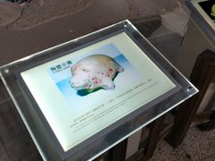 -苏州河梦清园环保主题公园