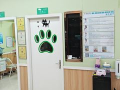 -瑞鹏宠物医院·夜间急症·心超·猫科(祖庙分店)
