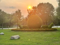 -武清南湖绿博园