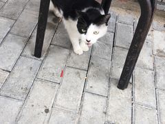 -三点小吃(山大店)