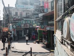 -猫咪博物馆(顶澳仔猫街店)