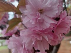 -私厨小磨(连丰路店)