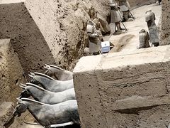 -秦始皇帝陵博物院(兵马俑)