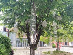-青果巷历史文化街区