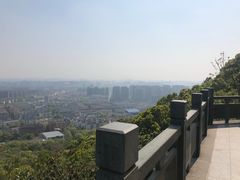 -杭州半山国家森林公园