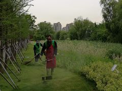 -昆山城市生态森林公园