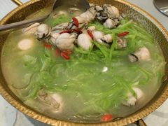 牡蛎炖萝卜-双井轩(双井店)