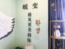 -至臻康妍健康管理中心