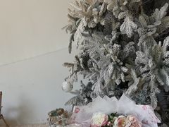 -J Create城市露营咖啡·简餐·宠物(上海动物园店)