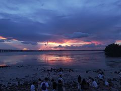 -宝安西湾红树林湿地公园