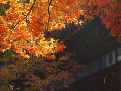 -香山公园