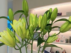 -华润置地大厦E座