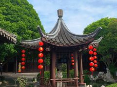 -溱湖国家湿地公园