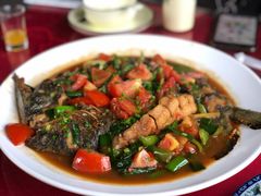 遇龙河剑骨鱼—阳朔特色啤酒鱼-生态苑农庄(十里画廊遇龙河店)