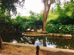 -清迈夜间动物园