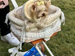 -上海神旺大酒店