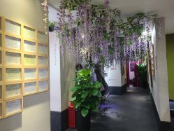 -盘子女人坊生日照·摄影馆(华强店)