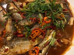 杂鱼-黄四老鱼馆(尚东国际店)