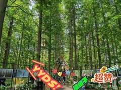 -黄海国家森林公园