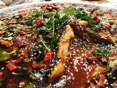 杨记招牌鱼-杨记隆府(时代天街店)