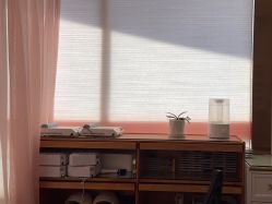 -猪猪女孩日式美睫美甲