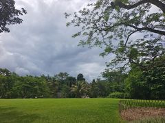 -中国科学院西双版纳热带植物园