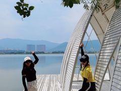 -长兴太湖图影湿地文化园