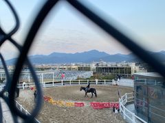 -菲滋意式餐厅(西溪印象城店)
