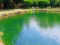 -崇圣寺三塔文化旅游区