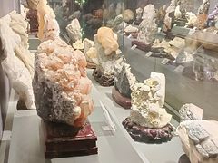 -湖南省地质博物馆