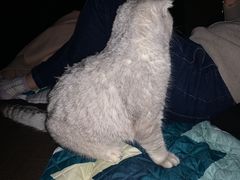 -悠米私人影院(街道口店)