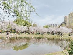 -堤角公园