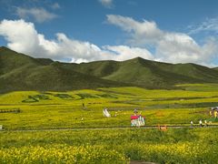 -扁都口生态休闲旅游区