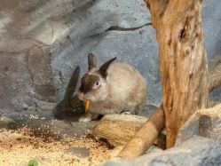 -Zoolung Zoolung动物主题公园(海信广场店)