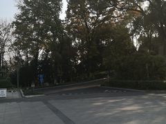 -东航云逸酒店(九溪烟树店)