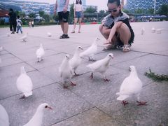 -华夏文旅海洋公园