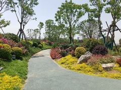 -金银湖国家城市湿地公园