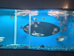 -碧涛阁水世界酒店(万家丽路店)